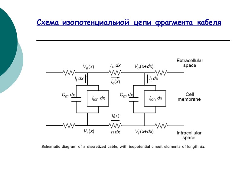 Схема изопотенциальной цепи фрагмента кабеля